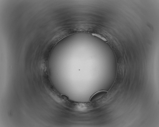 X0000112110091200908181357