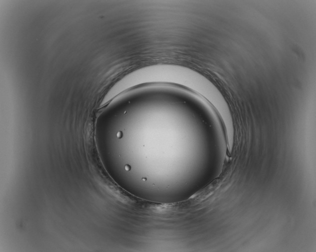 X0000112110092200908181357