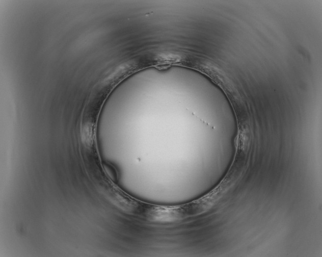 X0000112110093200908181357