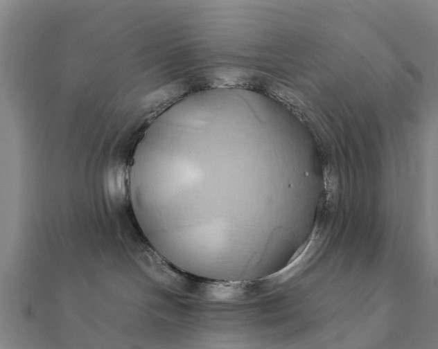 X0000112110094200908181357