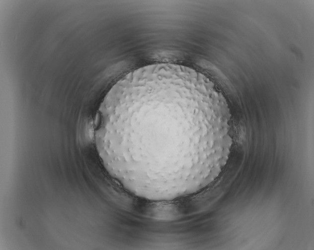 X0000112110095200908181357