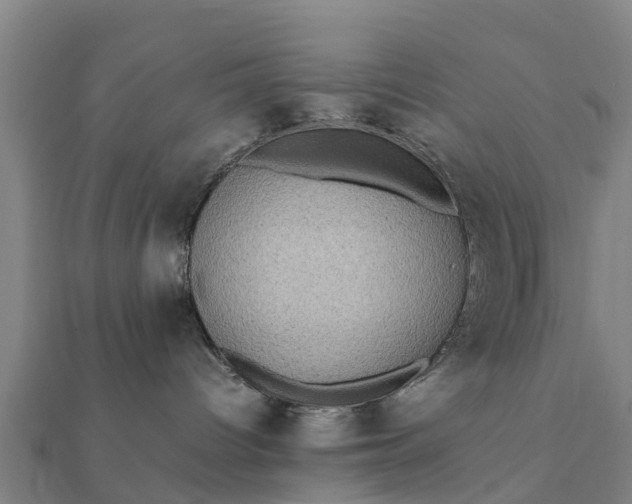 X0000112110096200908181357