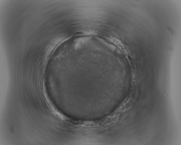 X0000112110097200908181356