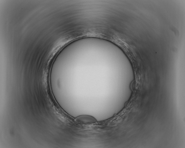 X0000112110098200908181356