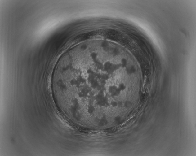 X0000112110099200908181356