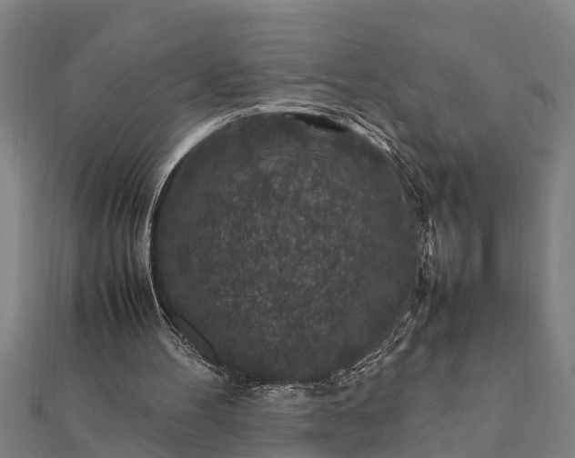 X0000112110100200908181356