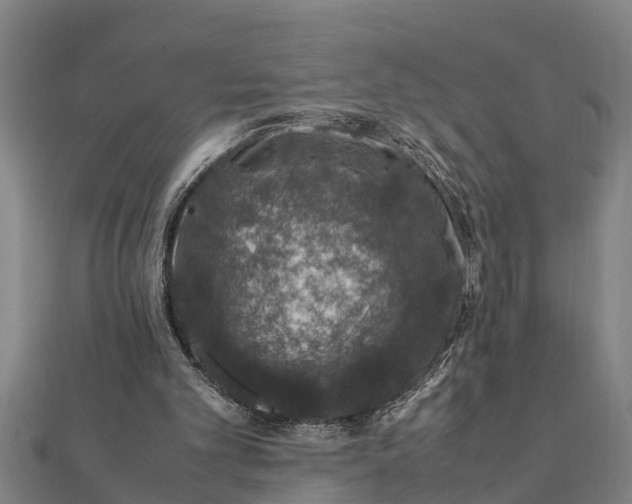 X0000112110101200908181356