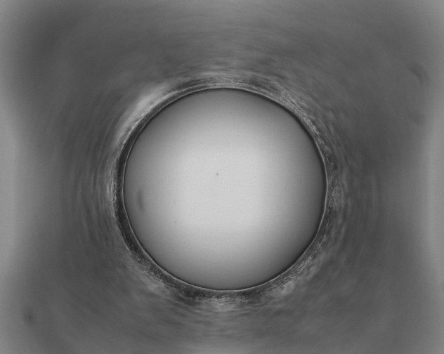 X0000112110103200908181356