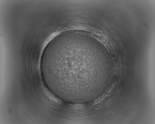 X0000112110104200908181356