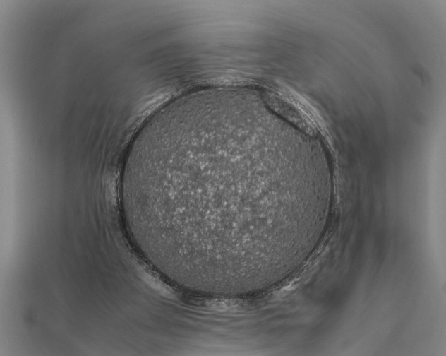 X0000112110105200908181356