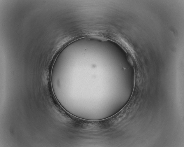 X0000112110107200908181356