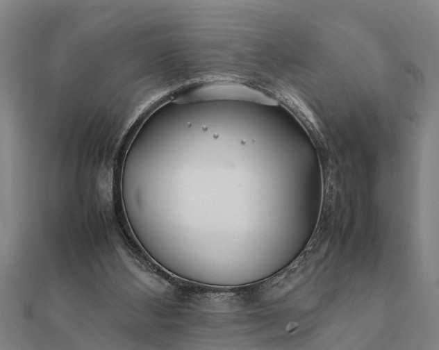 X0000112110108200908181356