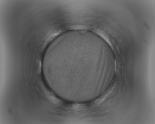 X0000112110109200908181356