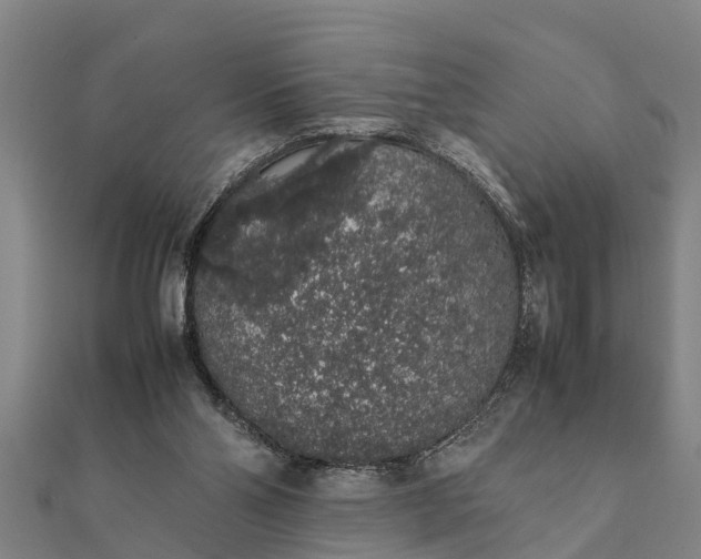 X0000112110110200908181356