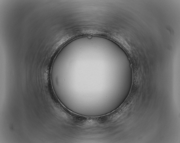 X0000112110111200908181356