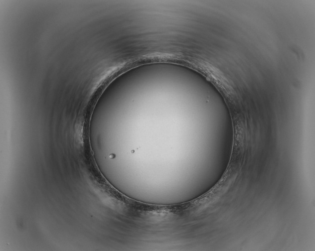 X0000112110112200908181356