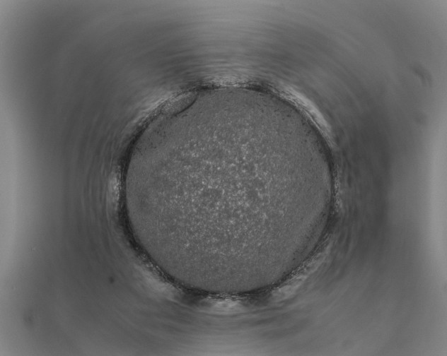 X0000112110113200908181356