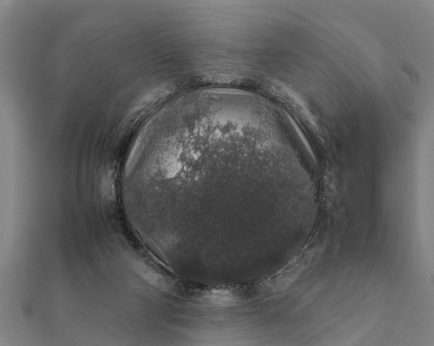 X0000112110114200908181356