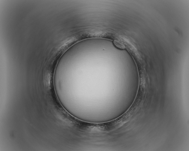 X0000112110115200908181356