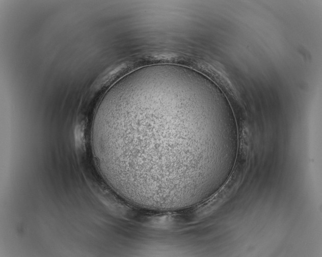 X0000112110116200908181356