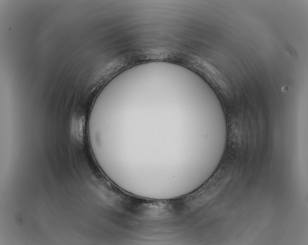 X0000112110118200908181356