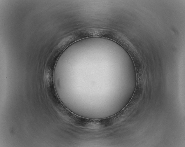 X0000112110119200908181356