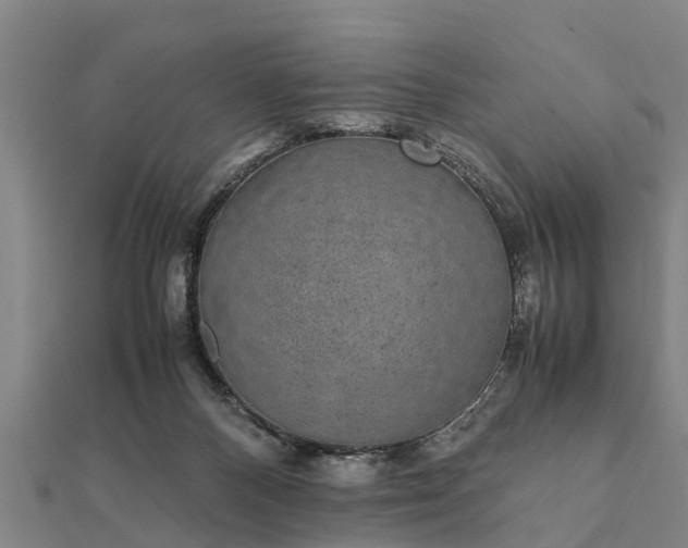 X0000112110120200908181356