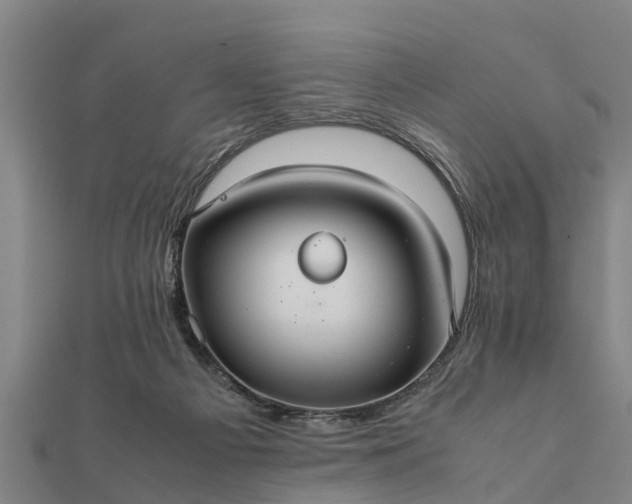 X0000112110121200908181356