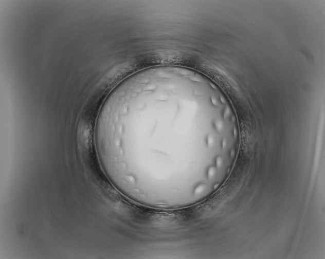 X0000112110123200908181356