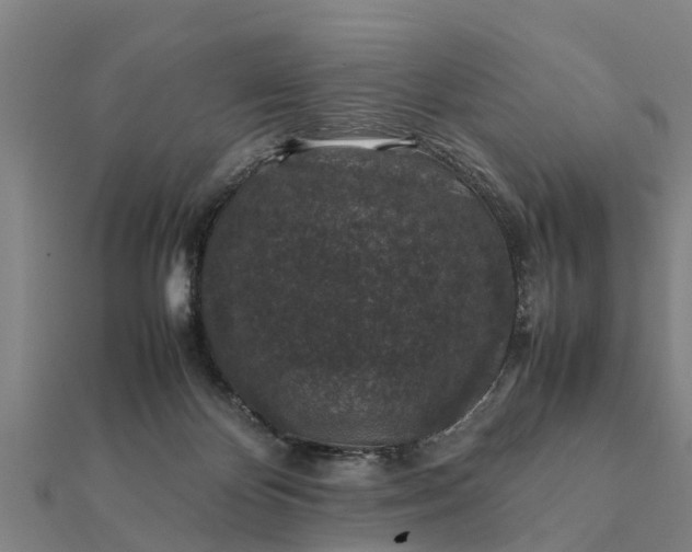 X0000112110124200908181356