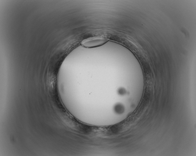 X0000112110125200908181356