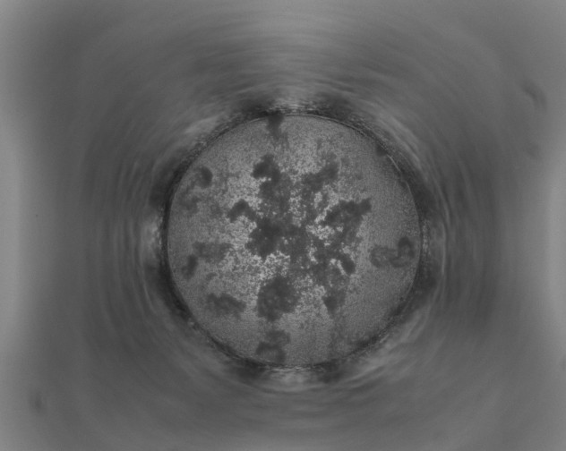 X0000112110127200908181356