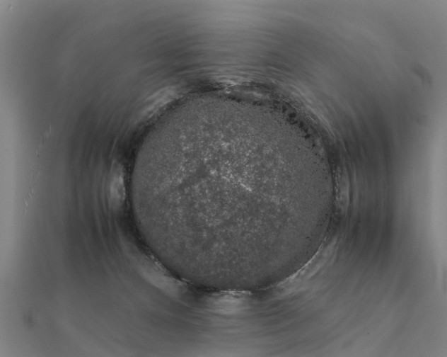 X0000112110128200908181356