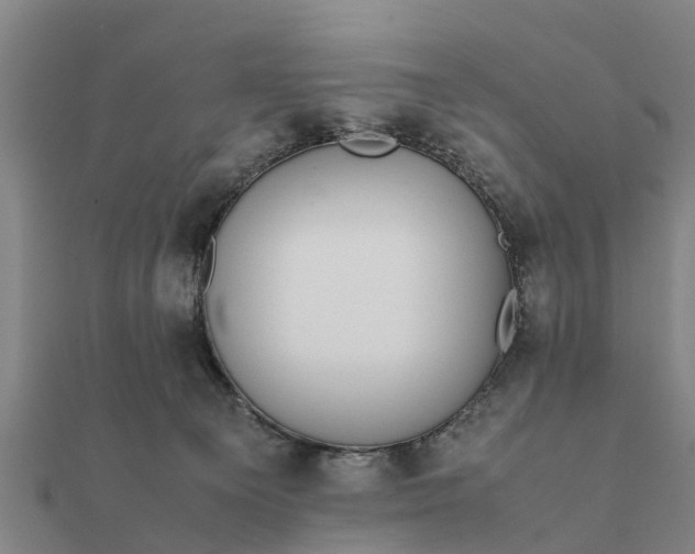 X0000112110129200908181356