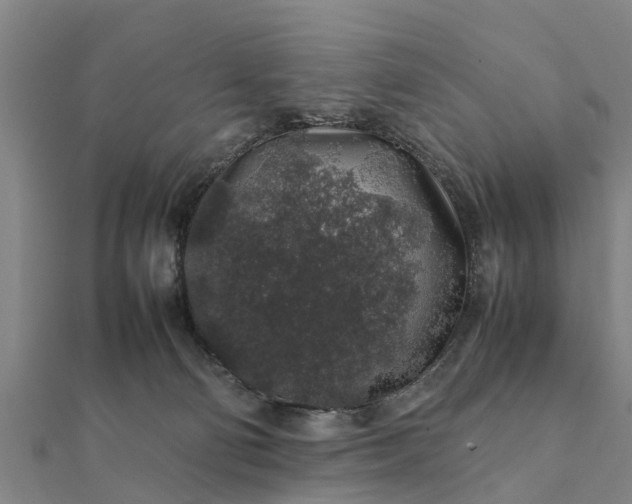 X0000112110130200908181356