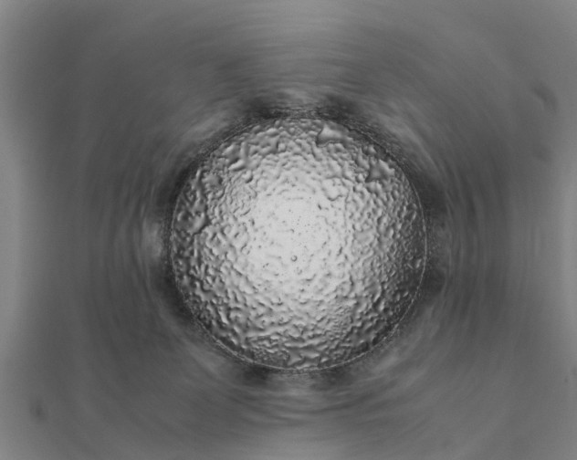 X0000112110131200908181356