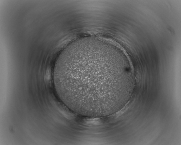 X0000112110132200908181356