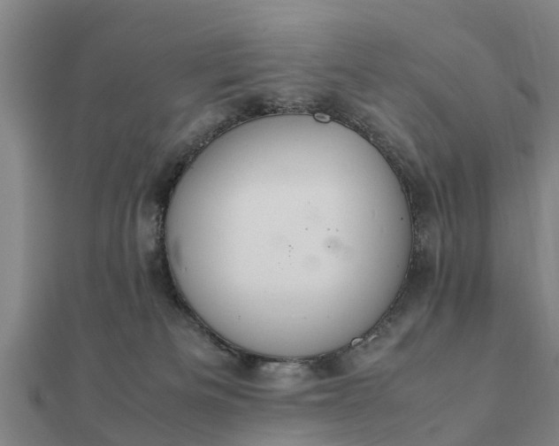 X0000112110133200908181356