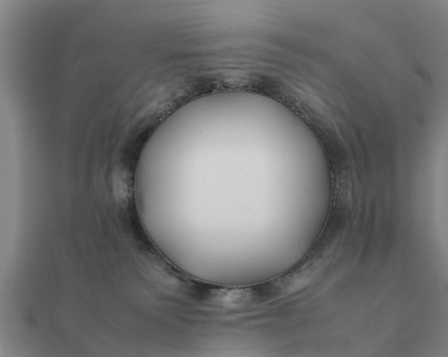 X0000112110135200908181356