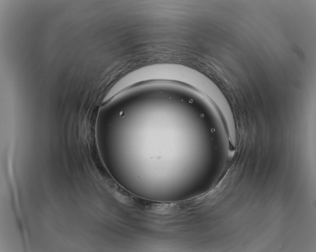 X0000112110136200908181356