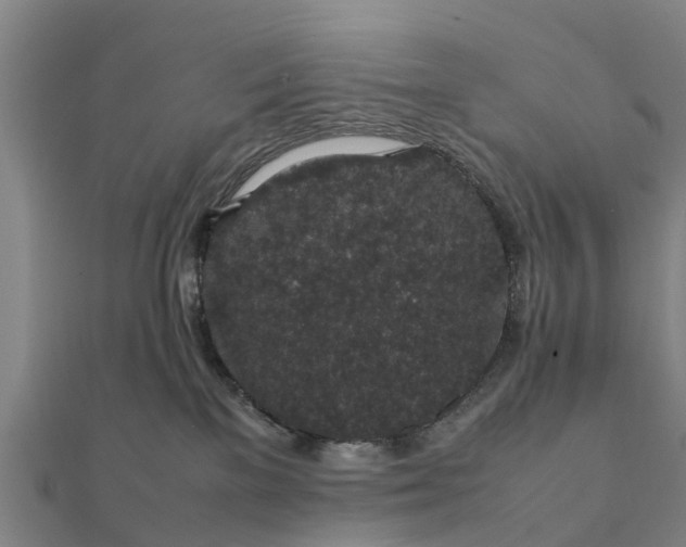 X0000112110137200908181356