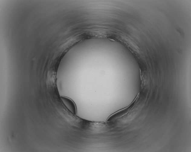 X0000112110141200908181356