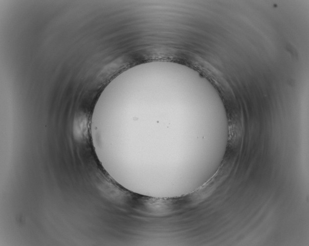 X0000112110142200908181356