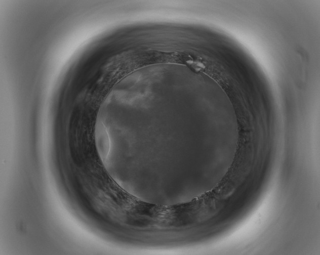 X0000112110143200908181356