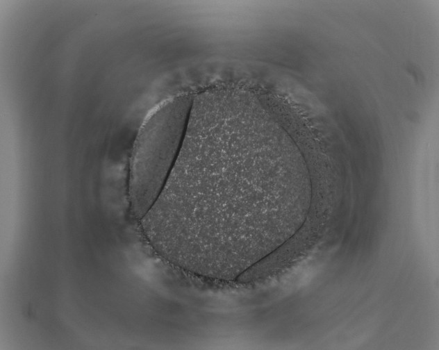 X0000112110144200908181356