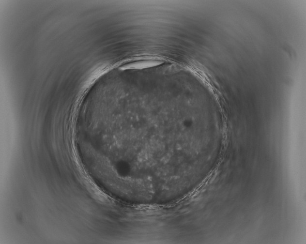 X0000112110145200908181355