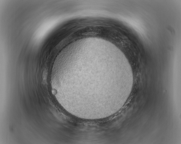 X0000112110146200908181355