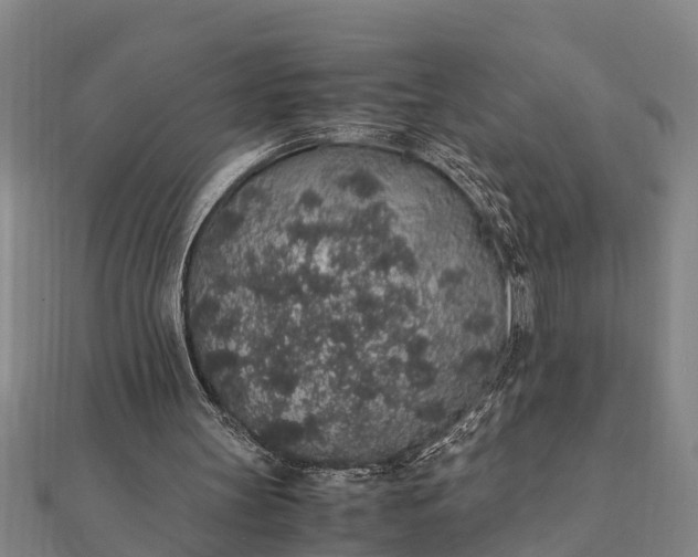 X0000112110147200908181355