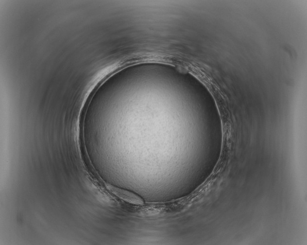 X0000112110148200908181355