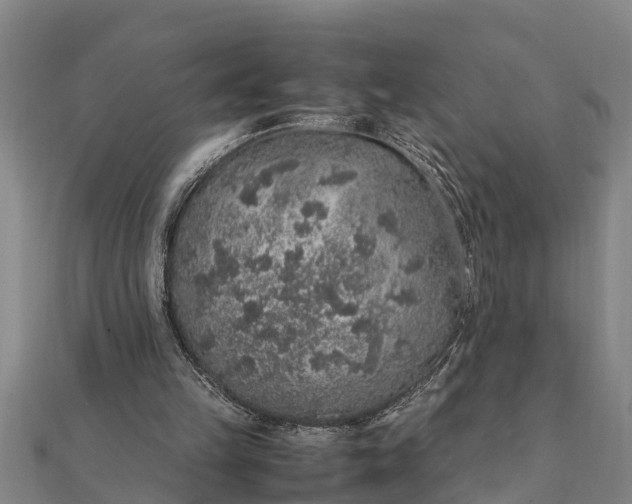 X0000112110149200908181355